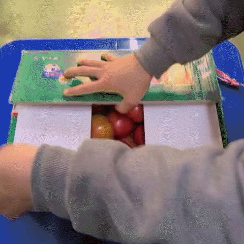 맛좋은 완숙 찰토마토 2kg 3kg 5kg 